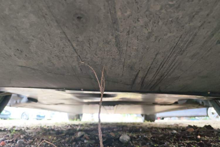 Used Tesla Model Y 2022 Revised Version Rear-Wheel Drive Chassis Front