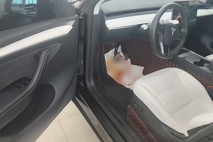 Used Tesla Model Y 2022 Rear-Wheel-Drive Version Driver Seat