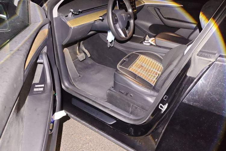 Used Tesla Model Y 2022 Rear-Wheel-Drive Version Driver Seat