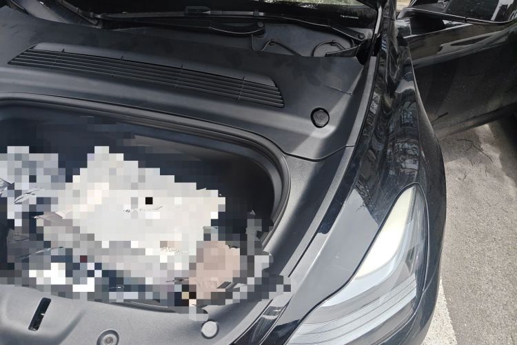 Used Tesla Model Y 2022 Rear-Wheel-Drive Version Engine Bay Left