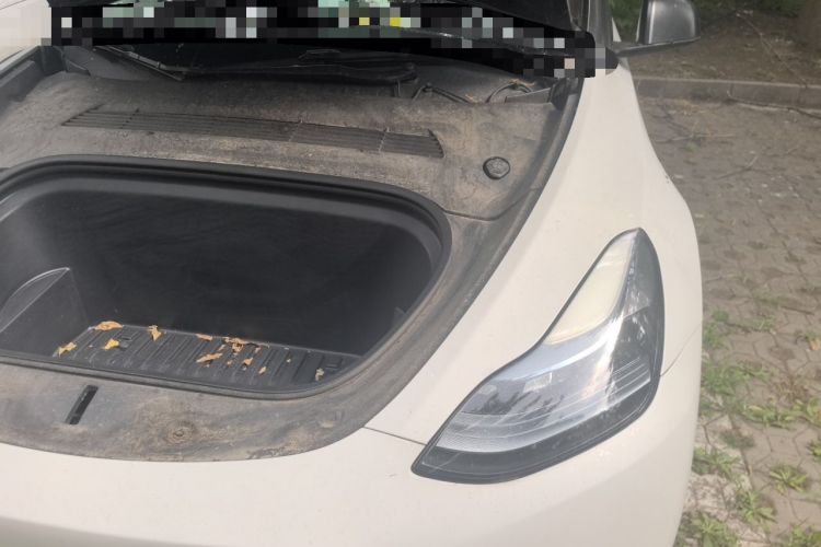Used Tesla Model Y 2022 Rear-Wheel-Drive Version Engine Bay Left