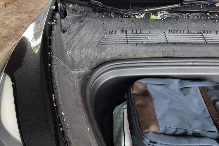 Used Tesla Model Y 2022 Rear-Wheel-Drive Version Engine Bay Right