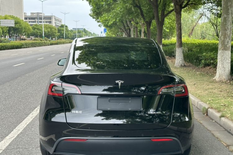 Used Tesla Model Y 2022 Revised Version Rear-Wheel Drive Exterior 1