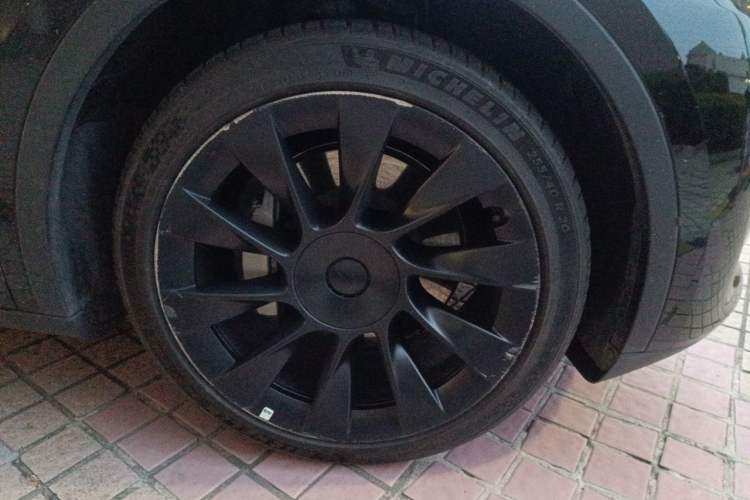 Used Tesla Model Y 2022 Rear-Wheel-Drive Version Exterior 1