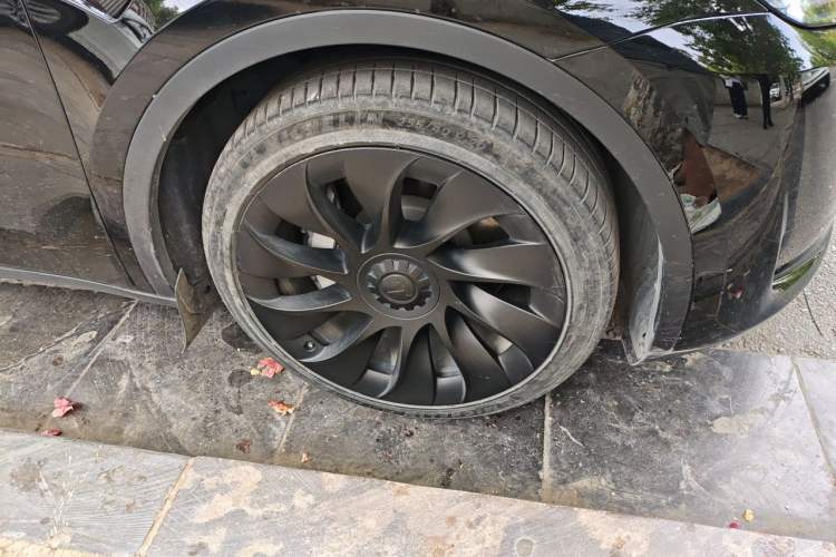 Used Tesla Model Y 2022 Rear-Wheel-Drive Version Exterior 1