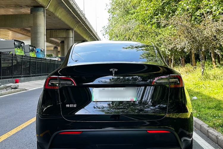 Used Tesla Model Y 2022 Revised Version Rear-Wheel Drive Exterior 1