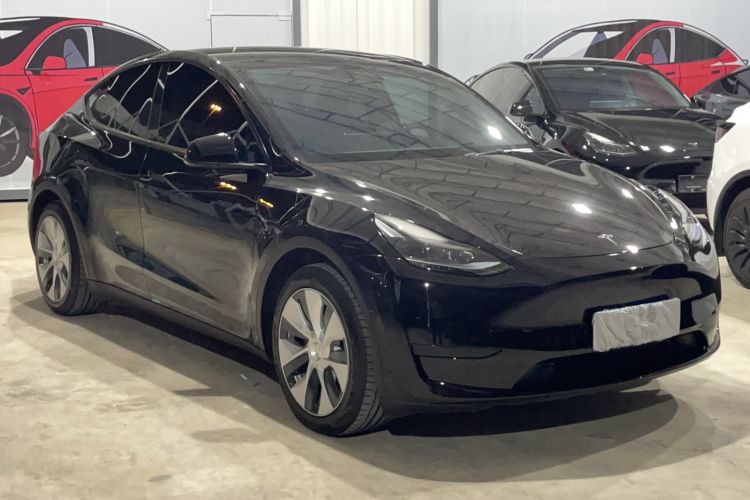 Used Tesla Model Y 2022 Rear-Wheel-Drive Version Exterior 1