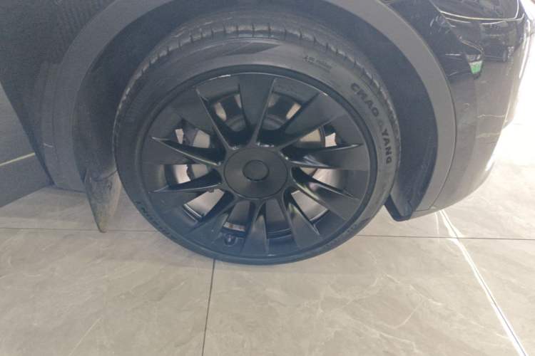 Used Tesla Model Y 2022 Long-Range All-Wheel-Drive Version Exterior 1