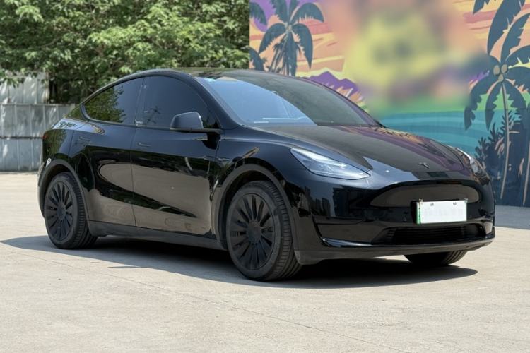 Used Tesla Model Y 2022 Rear-Wheel-Drive Version Exterior 1
