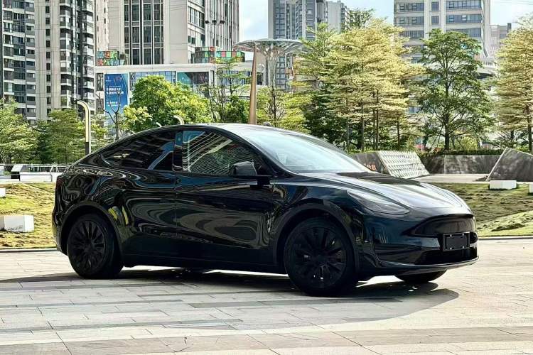 Used Tesla Model Y 2022 Rear-Wheel-Drive Version Exterior 1