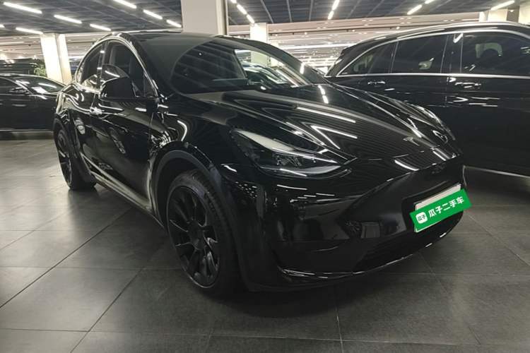 Used Tesla Model Y 2022 Revised Version Rear-Wheel Drive Exterior 1