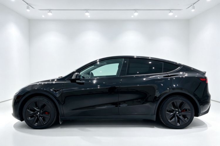 Used Tesla Model Y 2022 Revised Version Rear-Wheel Drive Exterior 1
