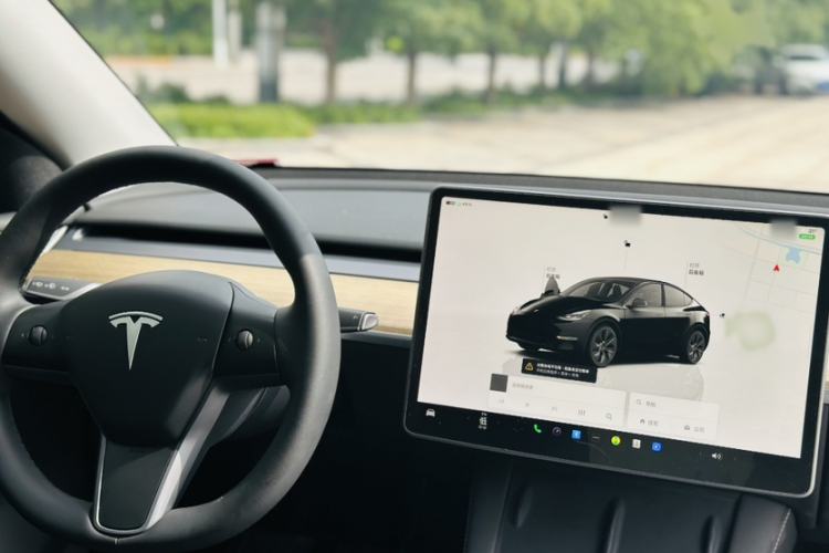 Used Tesla Model Y 2022 Rear-Wheel-Drive Version Exterior 1