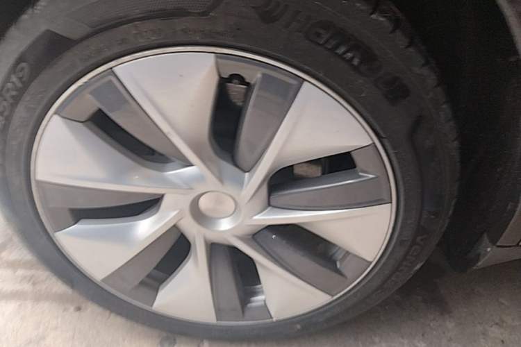 Used Tesla Model Y 2022 Rear-Wheel-Drive Version Exterior 2