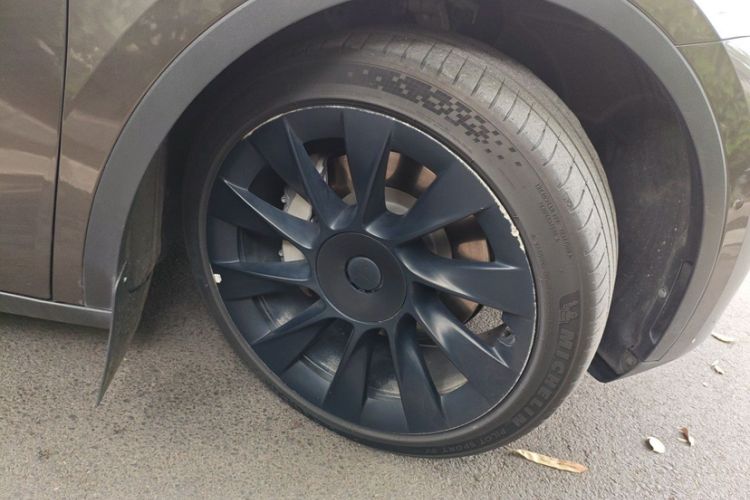 Used Tesla Model Y 2022 Rear-Wheel-Drive Version Exterior 2