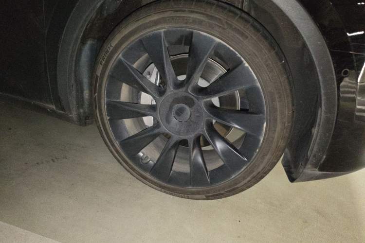Used Tesla Model Y 2022 Rear-Wheel-Drive Version Exterior 2