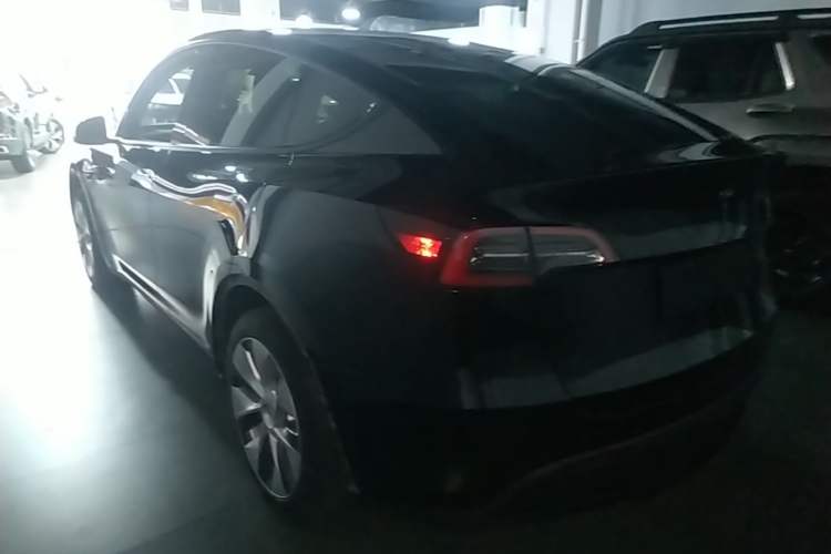 Used Tesla Model Y 2022 Rear-Wheel-Drive Version Exterior 2