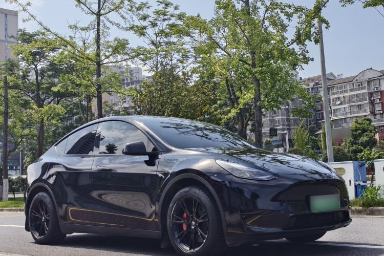 Used Tesla Model Y 2022 Rear-Wheel-Drive Version Exterior 2
