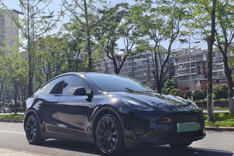 Used Tesla Model Y 2022 Rear-Wheel-Drive Version Exterior 2