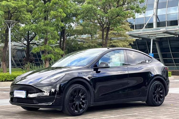 Used Tesla Model Y 2022 Revised Version Rear-Wheel Drive Exterior 2