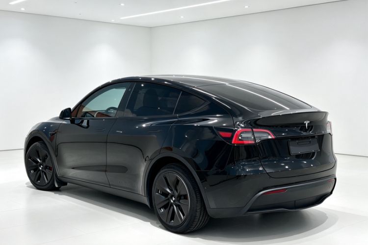 Used Tesla Model Y 2022 Revised Version Rear-Wheel Drive Exterior 2