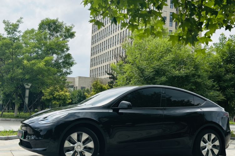 Used Tesla Model Y 2022 Rear-Wheel-Drive Version Exterior 2