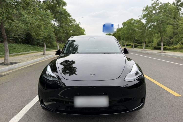 Used Tesla Model Y 2022 Revised Version Rear-Wheel Drive Exterior 3
