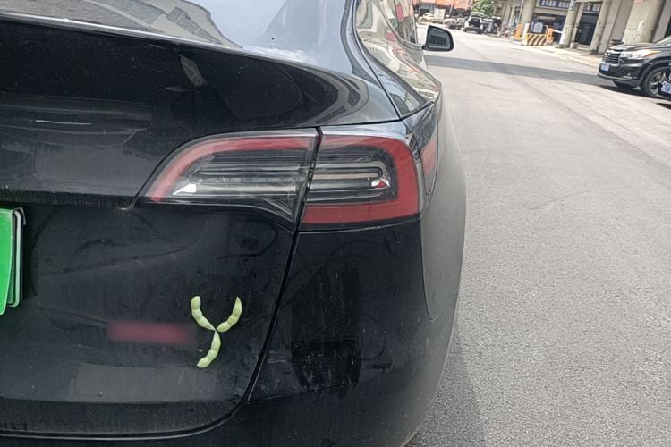 Used Tesla Model Y 2022 Revised Version Rear-Wheel Drive Exterior 3