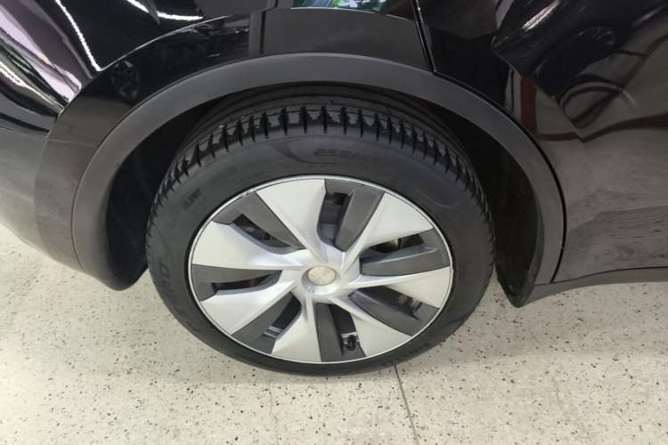 Used Tesla Model Y 2022 Rear-Wheel-Drive Version Exterior 3