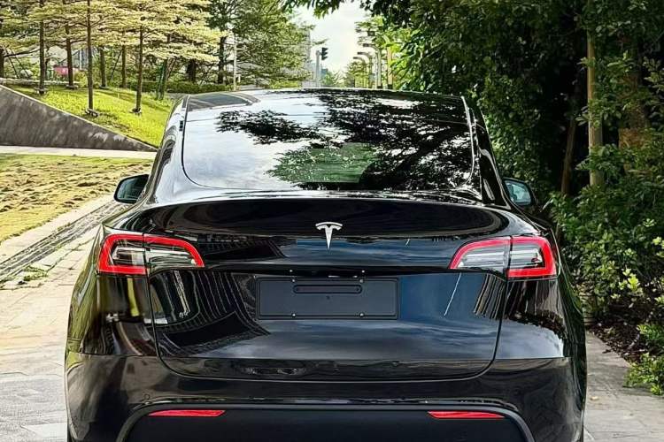 Used Tesla Model Y 2022 Rear-Wheel-Drive Version Exterior 3