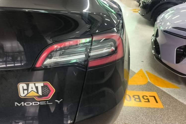Used Tesla Model Y 2022 Rear-Wheel-Drive Version Exterior 3