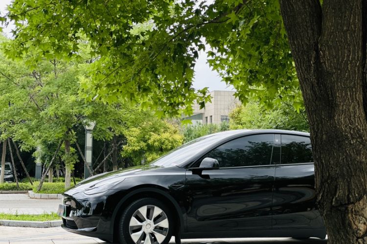 Used Tesla Model Y 2022 Rear-Wheel-Drive Version Exterior 3