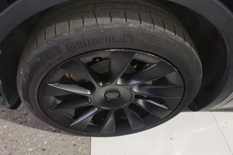 Used Tesla Model Y 2022 Rear-Wheel-Drive Version Exterior 4