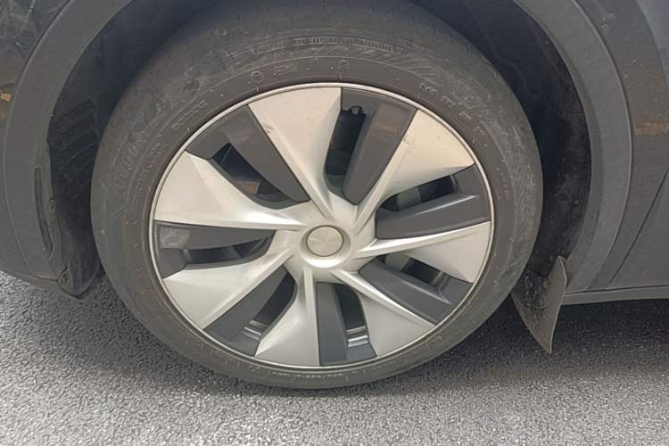 Used Tesla Model Y 2022 Revised Version Rear-Wheel Drive Exterior 4