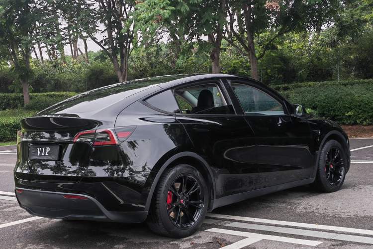 Used Tesla Model Y 2022 Rear-Wheel-Drive Version Exterior 4
