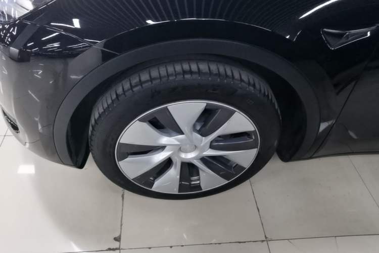 Used Tesla Model Y 2022 Rear-Wheel-Drive Version Exterior 4