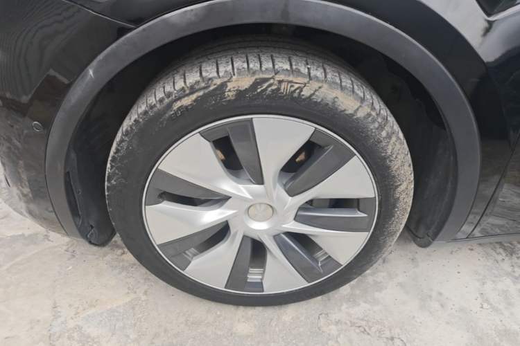 Used Tesla Model Y 2022 Revised Version Rear-Wheel Drive Exterior 4