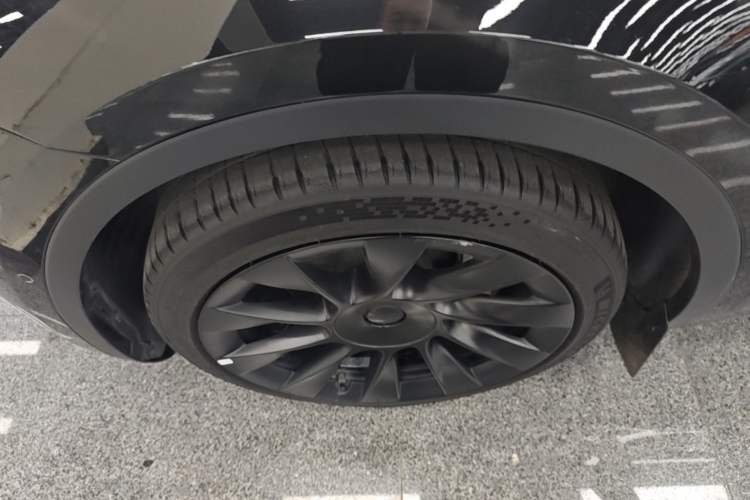 Used Tesla Model Y 2022 Rear-Wheel-Drive Version Exterior 4