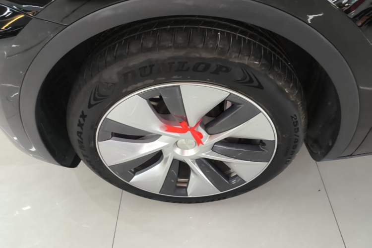 Used Tesla Model Y 2022 Long-Range All-Wheel-Drive Version Exterior 4