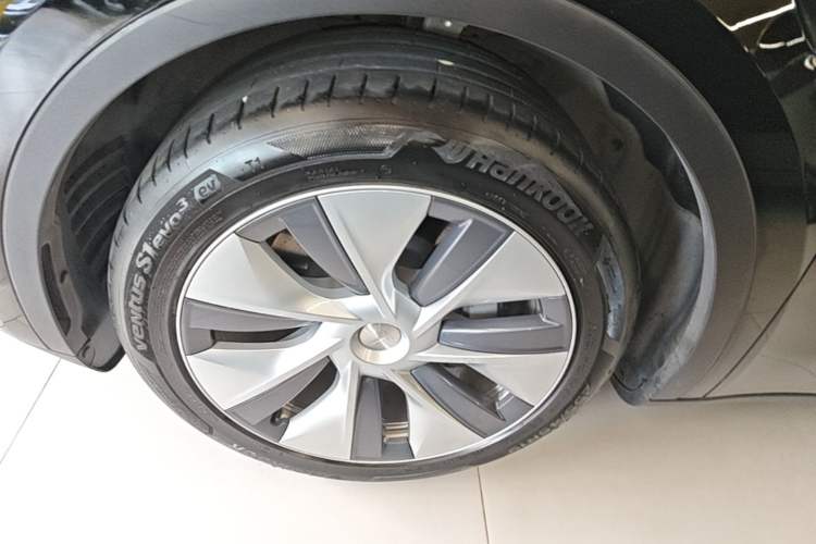 Used Tesla Model Y 2022 Revised Version Rear-Wheel Drive Exterior 4