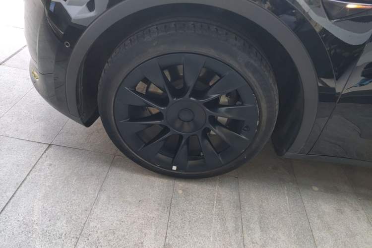 Used Tesla Model Y 2022 Rear-Wheel-Drive Version Exterior 4
