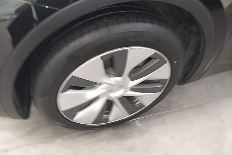 Used Tesla Model Y 2022 Revised Version Rear-Wheel Drive Exterior 4