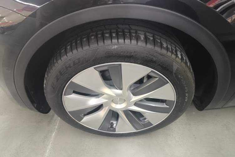 Used Tesla Model Y 2022 Rear-Wheel-Drive Version Exterior 4