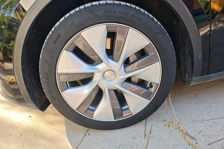 Used Tesla Model Y 2022 Rear-Wheel-Drive Version Exterior 4