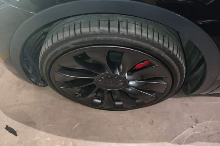 Used Tesla Model Y 2022 Performance High-Performance All-Wheel-Drive Version Exterior 4