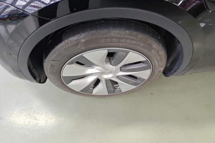 Used Tesla Model Y 2022 Rear-Wheel-Drive Version Exterior 4