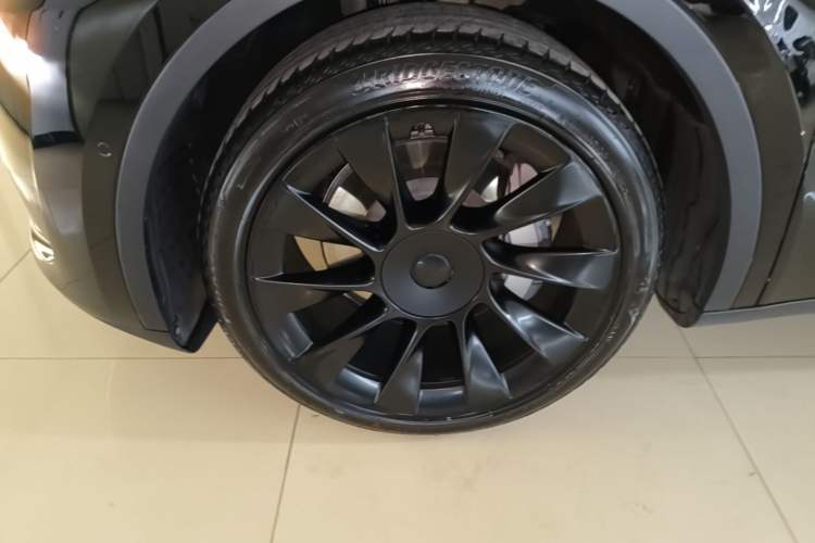 Used Tesla Model Y 2022 Rear-Wheel-Drive Version Exterior 4