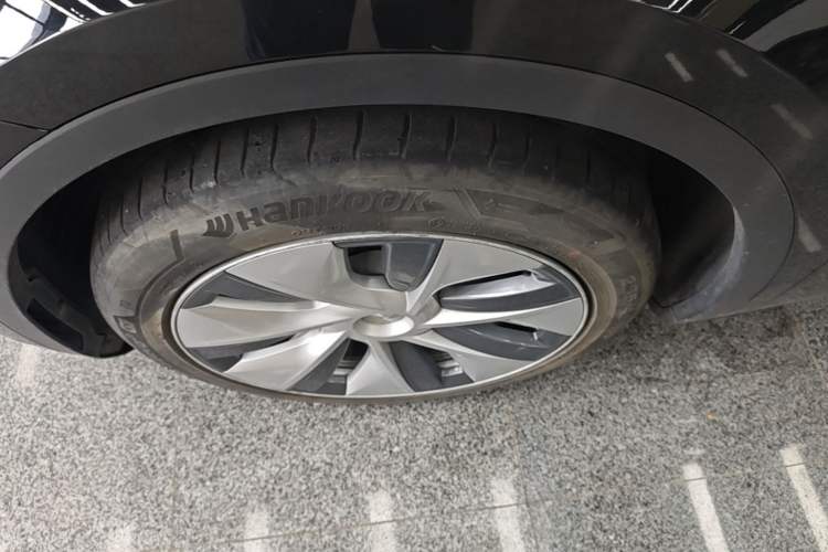 Used Tesla Model Y 2022 Rear-Wheel-Drive Version Exterior 4