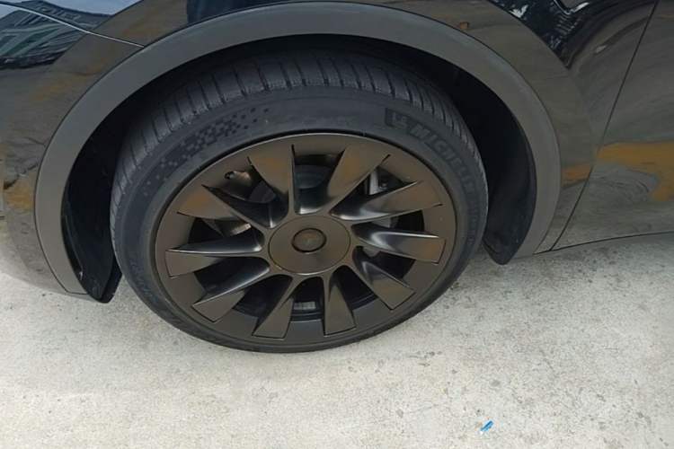 Used Tesla Model Y 2022 Rear-Wheel-Drive Version Exterior 4