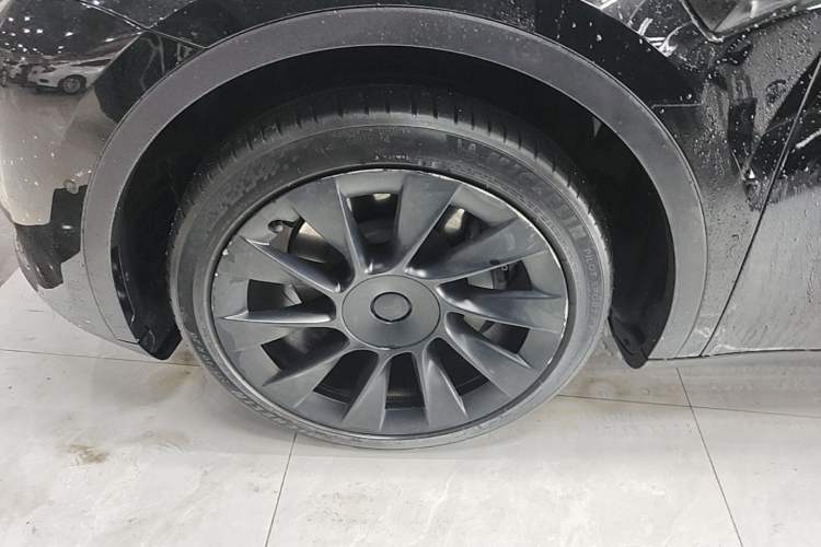 Used Tesla Model Y 2022 Rear-Wheel-Drive Version Exterior 4